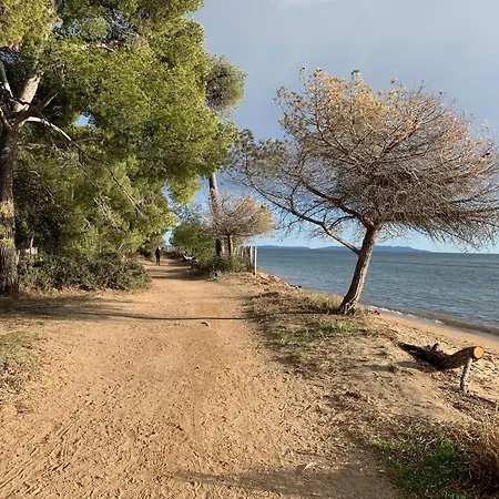 Διαμέρισμα On The Beach Pour 3 Personnes